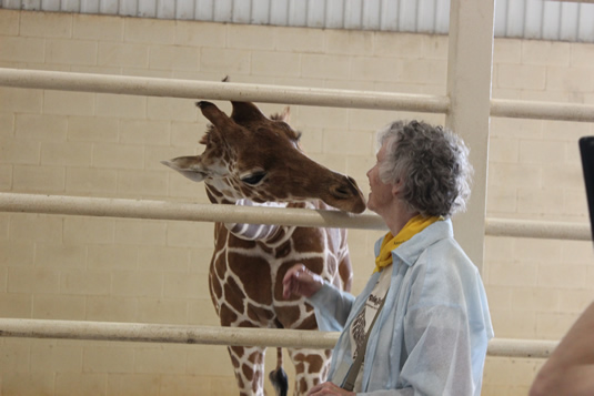 Anne is kissed by Giraffe